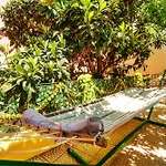 Graça Garden Lisboa